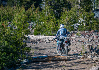 Oregon 070 - BTA Magazine