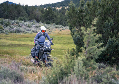 Oregon 102 - BTA Magazine
