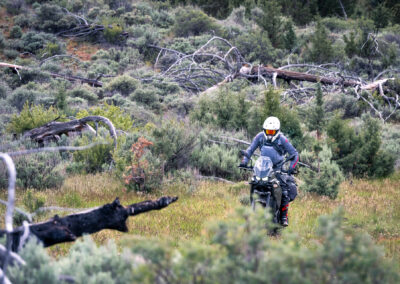 Oregon 103 - BTA Magazine