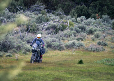 Oregon 104 - BTA Magazine
