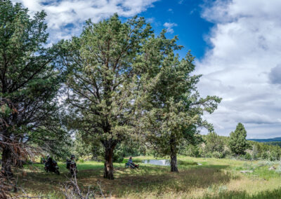 Oregon 106 - BTA Magazine