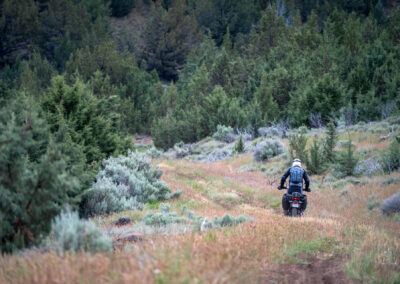 Oregon 111 - BTA Magazine