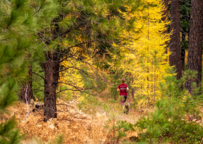 Oregon 136 - BTA Magazine