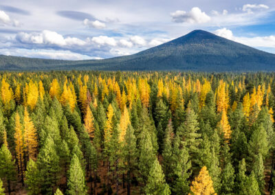 Oregon 137 - BTA Magazine