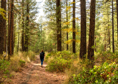 Oregon 142 - BTA Magazine