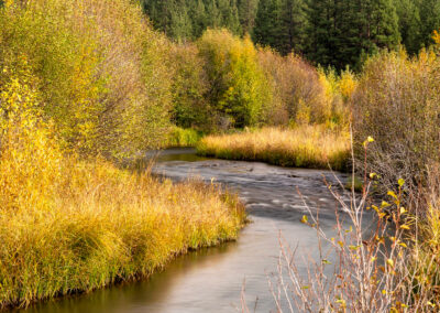 Oregon 147 - BTA Magazine