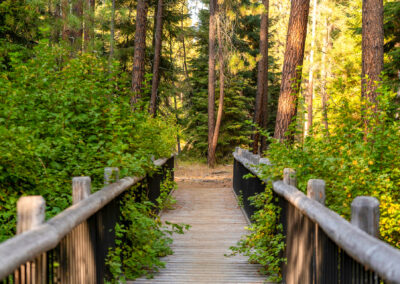 Oregon 148 - BTA Magazine