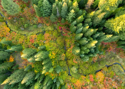 Oregon 150 - BTA Magazine