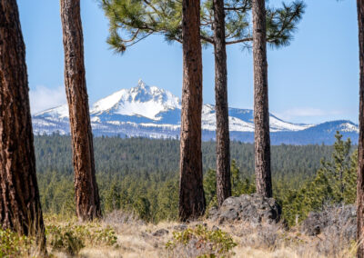Oregon 151 - BTA Magazine