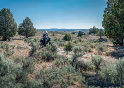 Oregon 160 - BTA Magazine