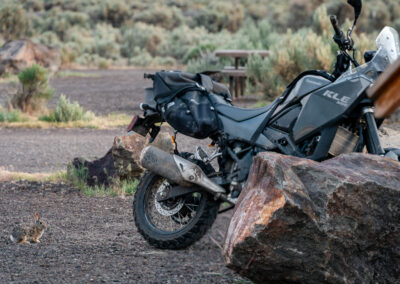 Oregon 169 - BTA Magazine