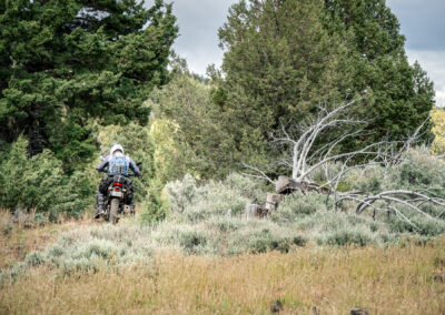 Oregon 183 - BTA Magazine