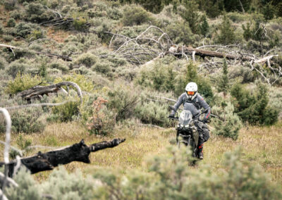 Oregon 186 - BTA Magazine
