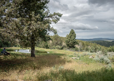 Oregon 189 - BTA Magazine