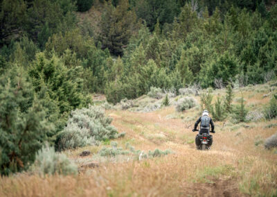 Oregon 193 - BTA Magazine